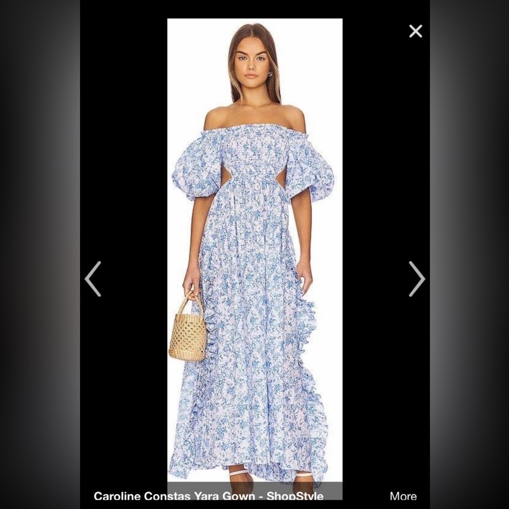 Caroline Constas Yara gown size Medium NWT blue toile print